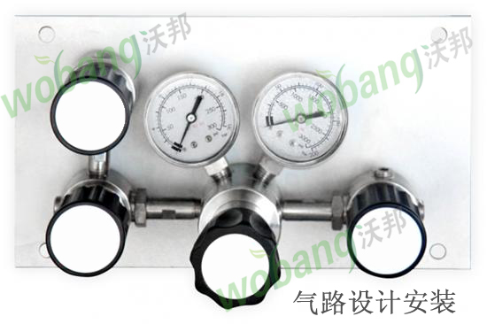 自動(dòng)切換特氣匯流排