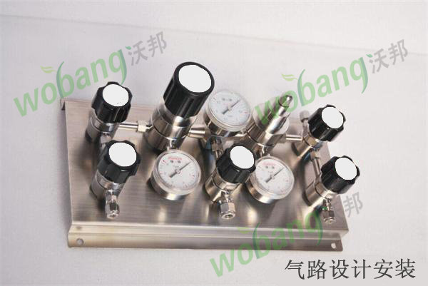 半自動(dòng)切換特氣匯流排